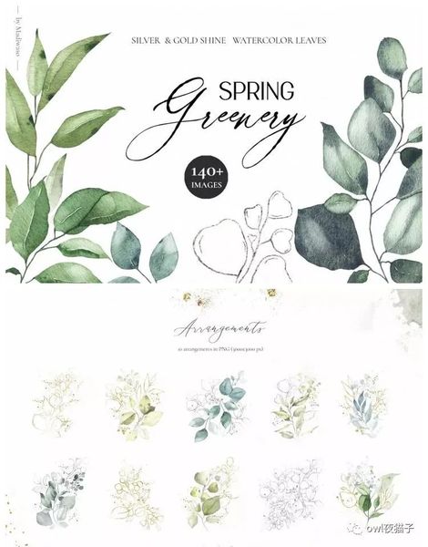 【488期】时尚简约清新手绘水彩水墨水粉植物花朵花卉插画大集合