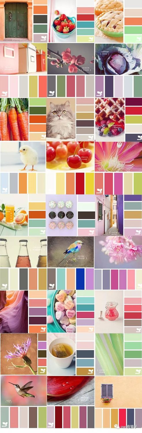 【第72期】配色丑，不会配？这5200张配色卡帮你解决