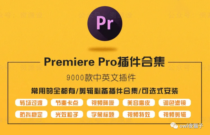 【第94期】Premiere（Pr）也开挂了，10分钟一键安装了千款开挂神器！！